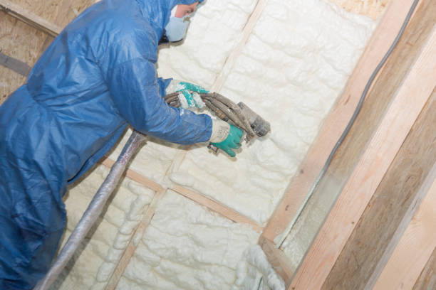 Best Blown-In Insulation  in Ddleville, MI